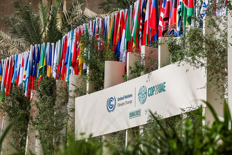 Programme and Development Officer Nicole Kempis discusses the increasingly prominent role of 