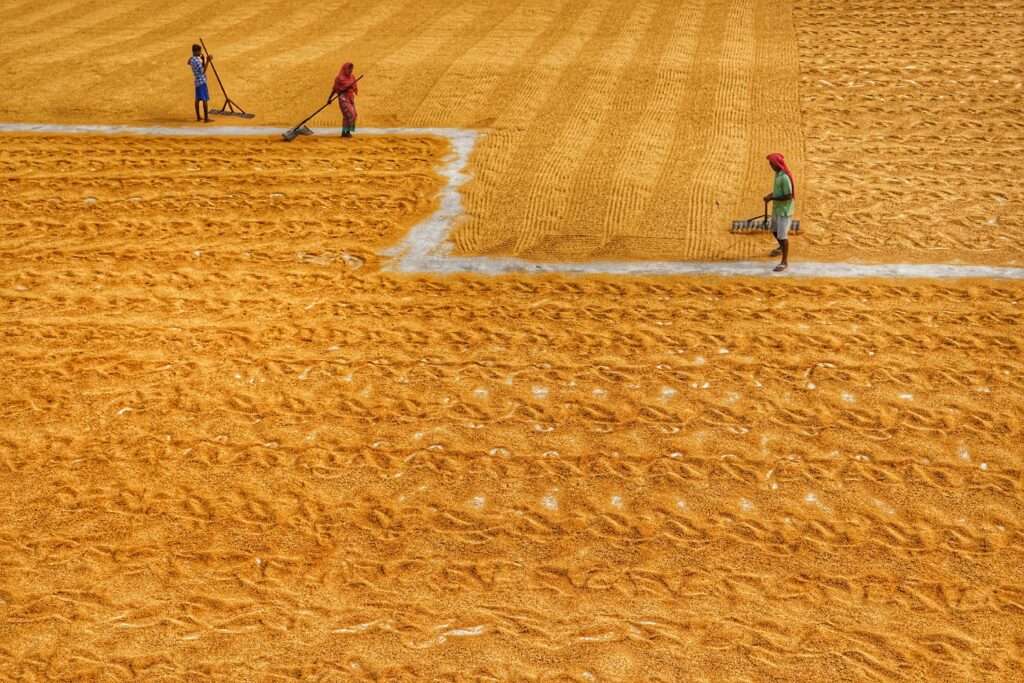 Adaptation often takes a backseat in climate policy discussions. Without a justice-centred approach, adaptation policies risk harming the very populations they seek to protect—exacerbating inequities and redistributing climate risks rather than alleviating them.  