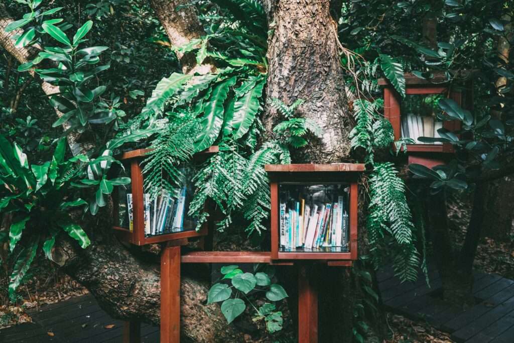 Check out book recommendations from the Climate Strategies team covering everything from ecology and cultural tradition to time travel and postcolonialism. 