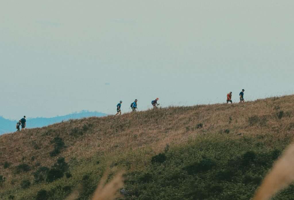 Read insights from our recently submitted input to the COP30 Presidency’s Roadmap on the Transition Away from Fossil Fuels, drawing on insights from many of our projects.